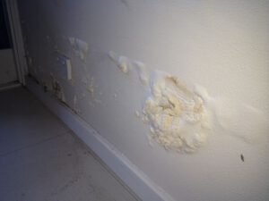 Rising_Dampness_Treatment-1